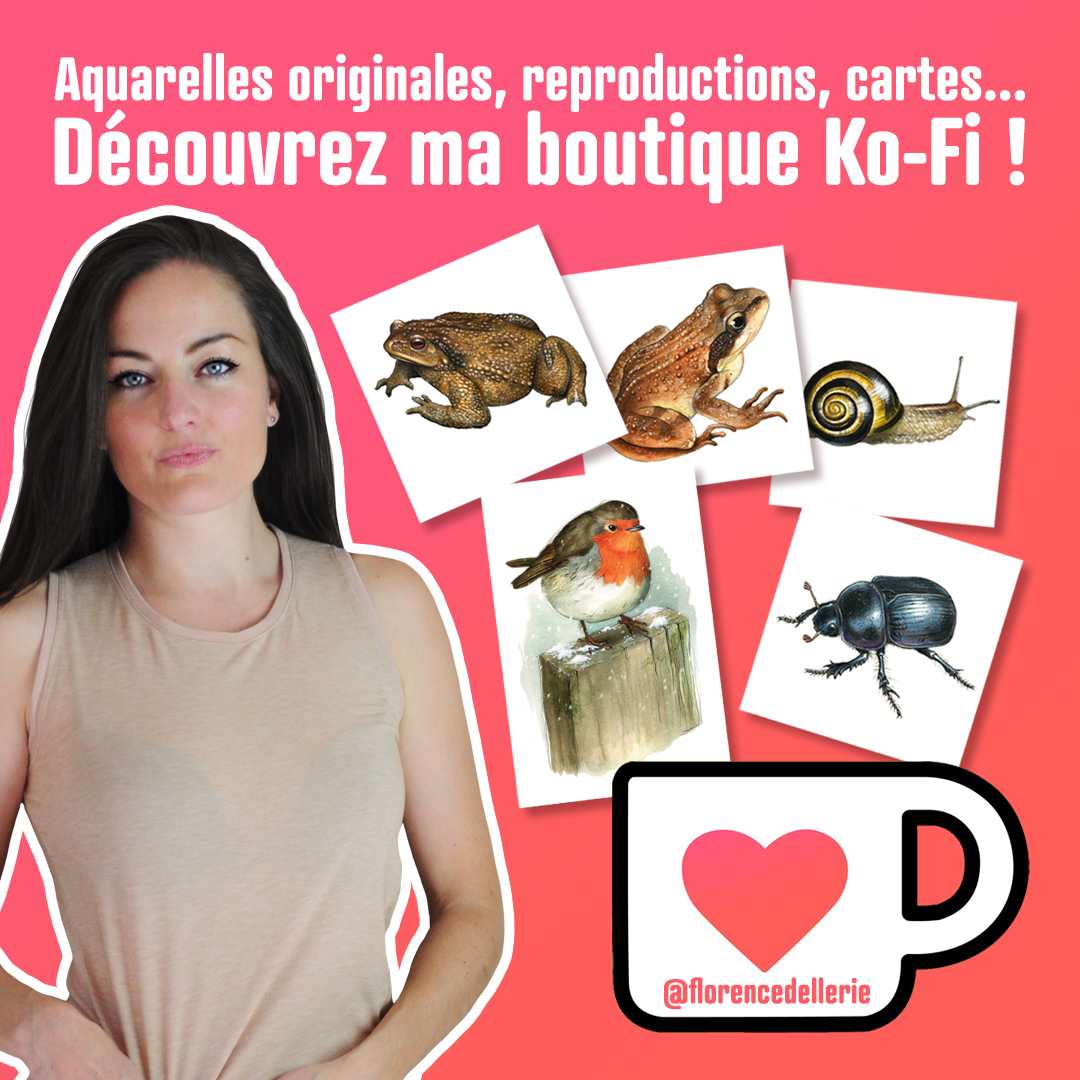 Florence Dellerie - Boutique