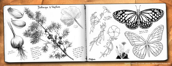 Double-page n°42