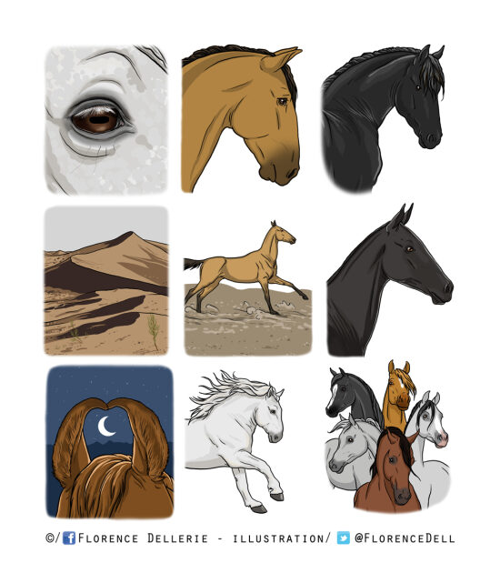 Vignettes chevaux